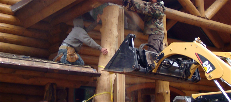 Log Home Log Replacement  Fort Mitchell, Alabama